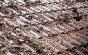 Withacott roof cleaning companies